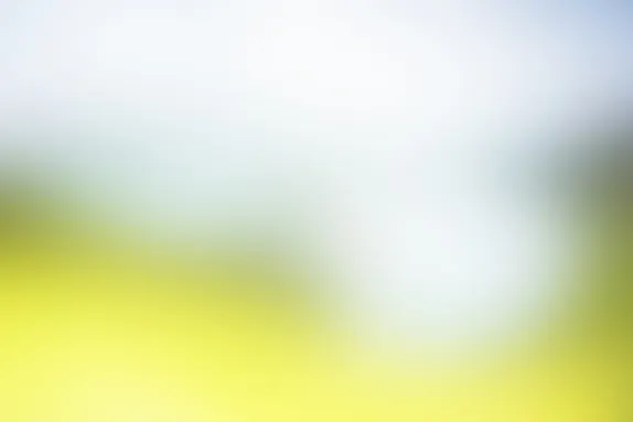 PocketWin Casino Stuðningur